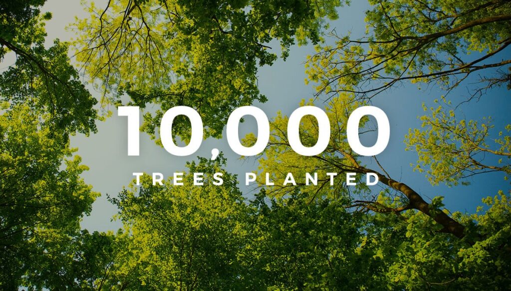 10,000 Trees Planted – That’s a Lot of Carbon!
