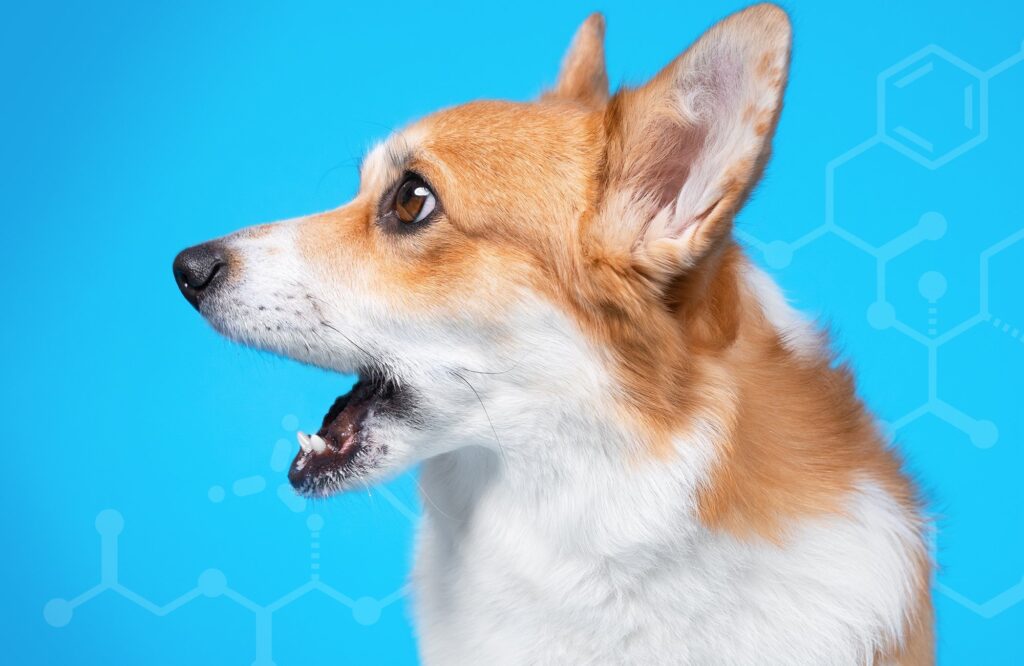 Why the element of surprise is still critical to brand loyalty