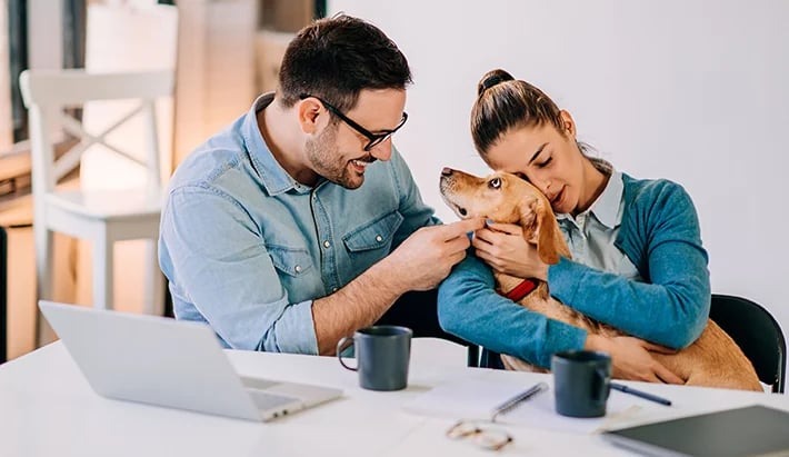Unusual employee incentive, bring your pet to work day
