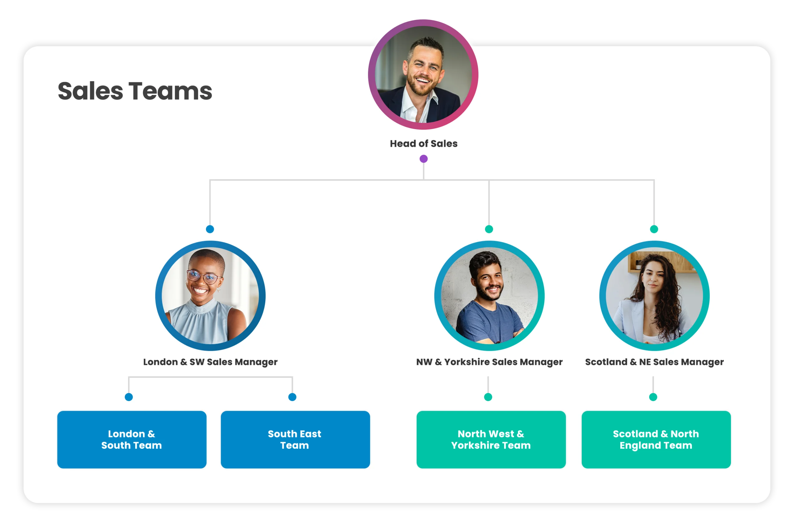 Sales team hierarchy